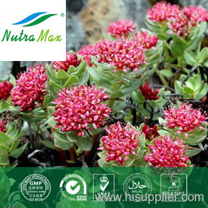 100% Natural Rhodiola Rosea Extract 1-10% Salidroside