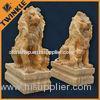 Lion Statue Carved Marble Sculpture / Contemporary Garden Sculptures
