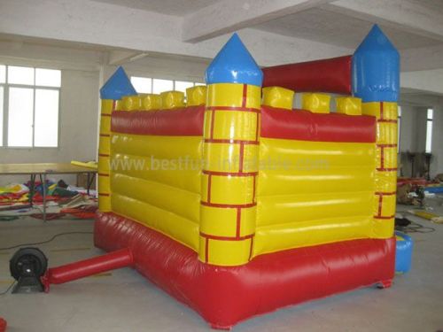 Beautiful Inflatable Jumping Bounce House