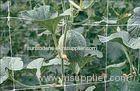 Hdpe UV Resistant Climbing Plant Support Netting , 17 x 15cm Mesh