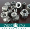 High Pressure Forged Steel Pipe Fitting (1/8&quot; - 4&quot;)