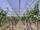 High Strength Plastic Anti Hail Nets For Vineyard / Grape Custom
