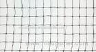 Extruded Square Mesh Anti Bird Netting For Protecting Grape