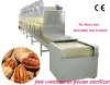 pinenut baking roasting equipment --microwave roaster baking machine for nut