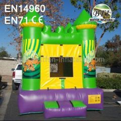 Inflatable Scooby Doo Bounce House For Sale