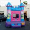 Princess Inflatable Castles Withe Website