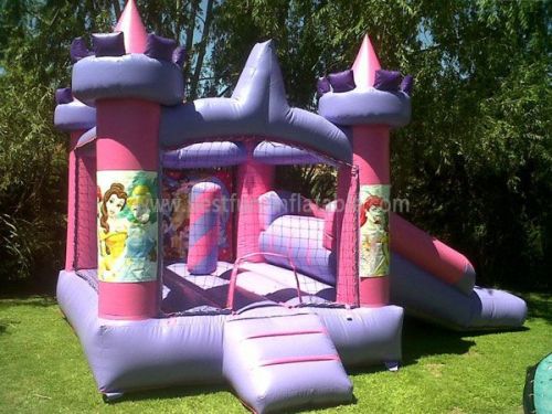 Inflatable Princess Bouncer Combo