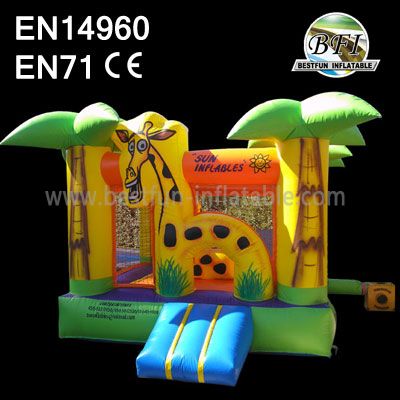 Best Quality Party Inflatables