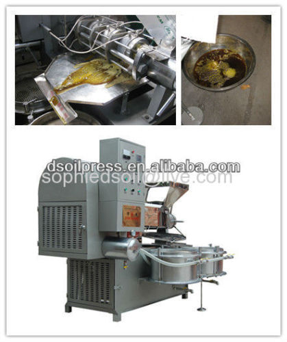 cold-pressed oil extraction machine manufacturer Zhengzhou
