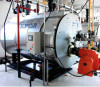 WNS gas/Oil fired boiler