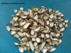 Raw Chinese Herb-Chinese Yam Extract