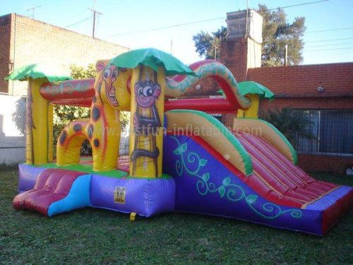 Inflatable Animal Slide Bounce House Combos