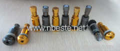 Aluminum Alloy valve tire valve