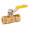 Two-piece Brass Mini Ball Valve Female x Female