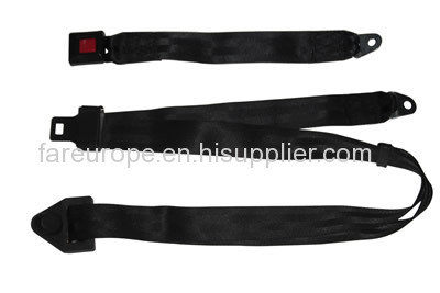 Non-Standard Replacement Seat Belt