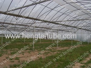 GP-827-S Multi-span metallic Greenhouse