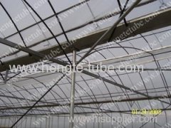 Multi span steel pipe Greenhouse