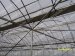 Multi span steel pipe Greenhouse