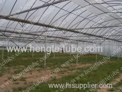 GP 827 S Multi span metallic Greenhouse