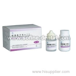 the Glass Ionomer Cement
