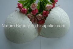 Antique plum blossom pattern silicone sticky bra