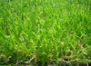 Best Quality Football Artificial Grass