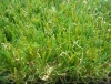 Long life & high quality Evergreen artificial grass for garden decor