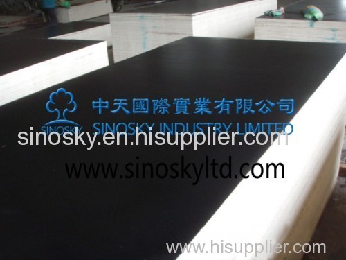 cheaper price brown film and black film face plywood