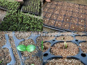 0.3-1MM 1-3MM2-4MM3-6MM4-8MM exfoliated golden vermiculite