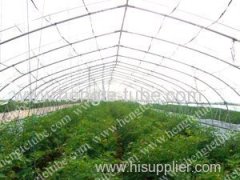 Economic tunnel green house