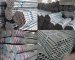 galvanized seamless steel tube pipe