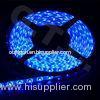 Waterproof rgb 3528 SMD LED Strip Light 5M / Reel for Shopping mall , restaurant