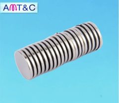 Rare Earth Neodymium (NdFeb) Disc magnet D22*3