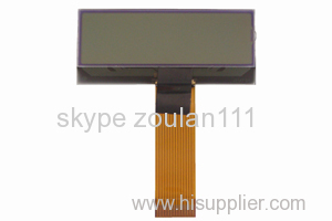 16x2 cog lcd module display (CTS061202)