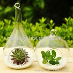 Hand Blown borosilicate Glass Vases
