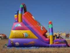 Dual Lanes China Inflatable Tunnel Slide