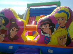 Affordable Princess Inflatable Water Slides