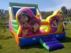 Affordable Princess Inflatable Water Slides