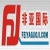 FEIYA INTERNATIONAL GROUP LTD