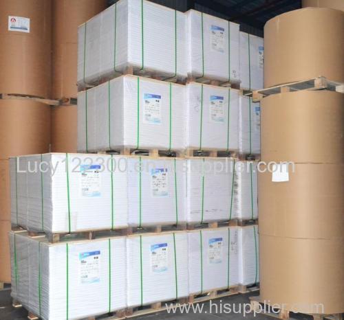 printing paper&coated Paper &paper