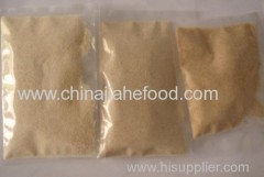 dehydrated Granular garlic 40-60mesh/40-80mesh three grade