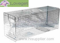 Raccoon traps makes raccoon trapping easy and simple