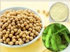 Soybean Extract - Isoflavones