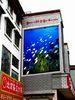 High intensity Outdoor Advertising P16 LED Display RGB 256 * 256 MM , 64 * 48 dots