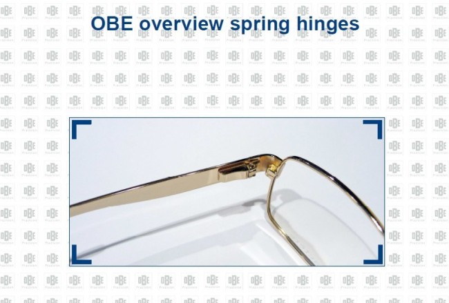 Regtangular acetate spring hinge reading glasses