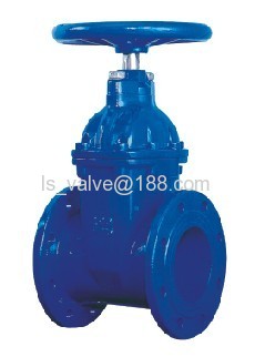 Cast iron gate valve