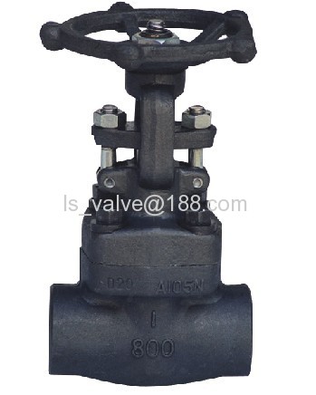 API602 forged gate valve