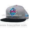 Customized Grey 6-Panel Snapback Flat Hip Hop Caps , Breathable / Waterproof