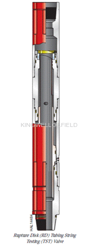 Rupture Disk (RD) Tubing String Testing (TST) Valve