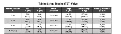 DST Tools 3 Tubing String Testing (TST) Valve